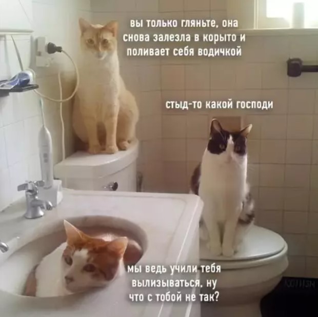 Выходные в мемах и картинках: поднимите себе настроение отборным юмором! картинки, сборник, настроение, самые, которые, Устали, личный, выходныеЭтот, подарить, хотим, моменты, такие, Именно, голос, хохотать, заставляет, ленту, очередной, источник, листаете