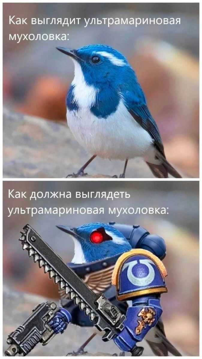 картинка 605e00756c pjatnica uzhe blizko lovite porciju pozitiva i smeha 8