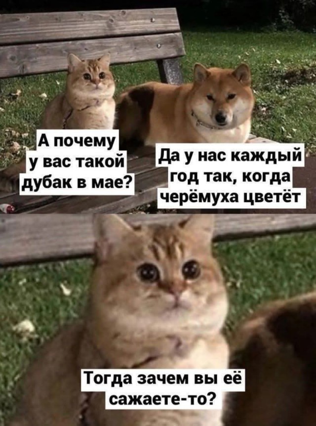картинка 6094a57b18 21032772