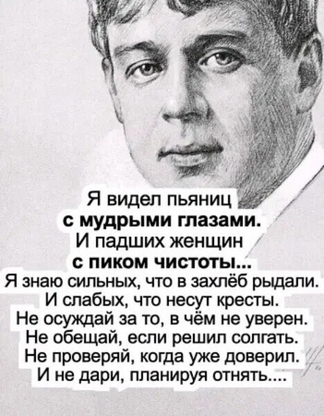 картинка 68e724fc0f otbornyj jumor memy i kartinki kotorye zastavjat vas smejatsja 14