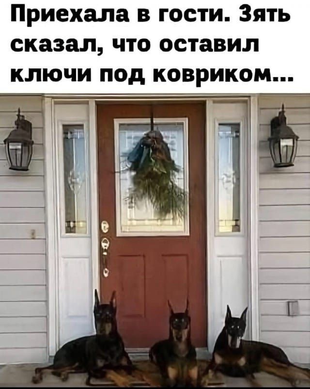 картинка 6b81ce6702 21045443
