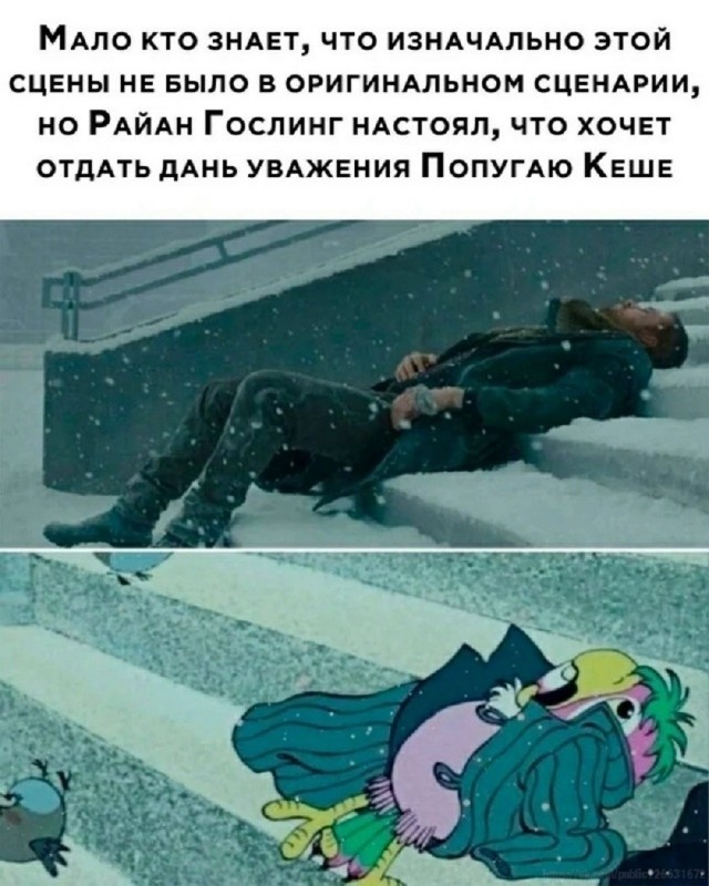 картинка 6c737e6330 20998925