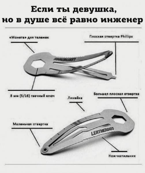картинка 6cc3af8559 21019256