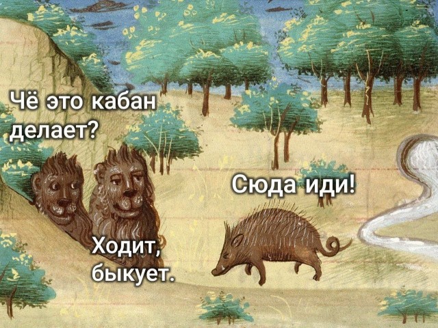 картинка 6d3e8ada1e 21001394