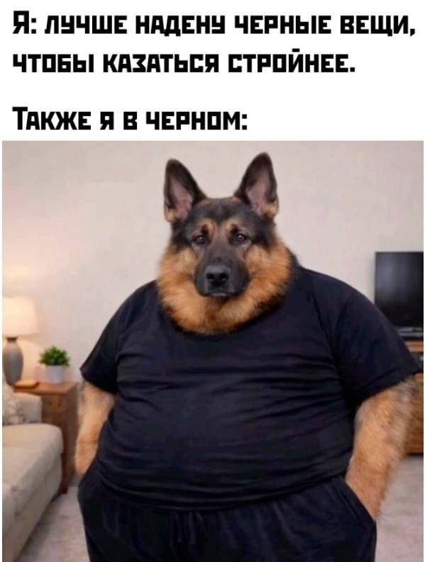 картинка 6d4f8fca4b otbornyj jumor memy i kartinki kotorye zastavjat vas smejatsja 2