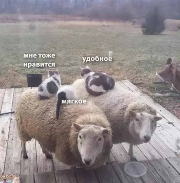 Выходные в мемах и картинках: поднимите себе настроение отборным юмором! картинки, сборник, настроение, самые, которые, Устали, личный, выходныеЭтот, подарить, хотим, моменты, такие, Именно, голос, хохотать, заставляет, ленту, очередной, источник, листаете