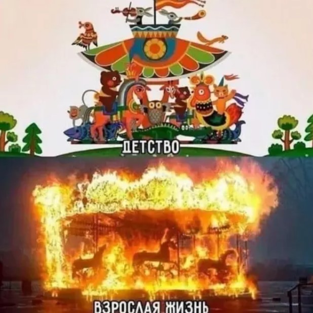 картинка 6e7967c716 21031856