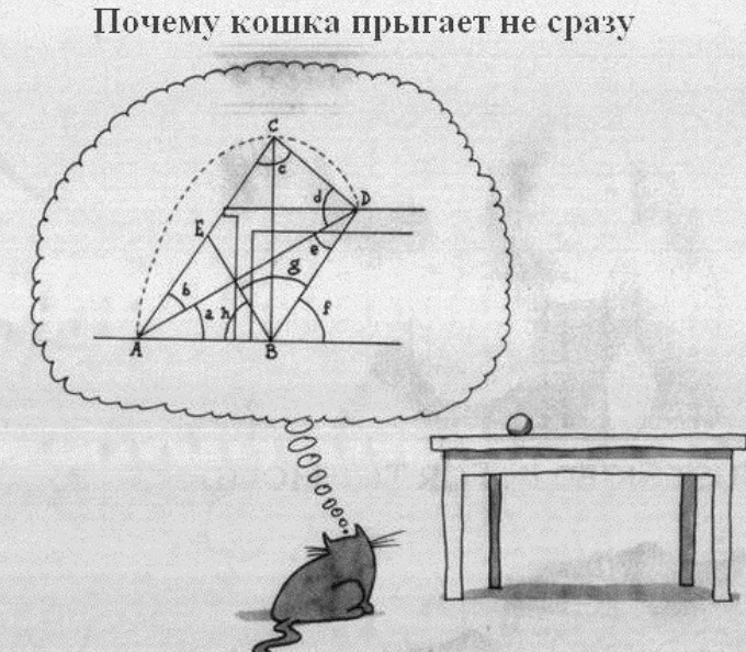 картинка 71a9009c13 otbornyj jumor memy i kartinki kotorye zastavjat vas smejatsja 3