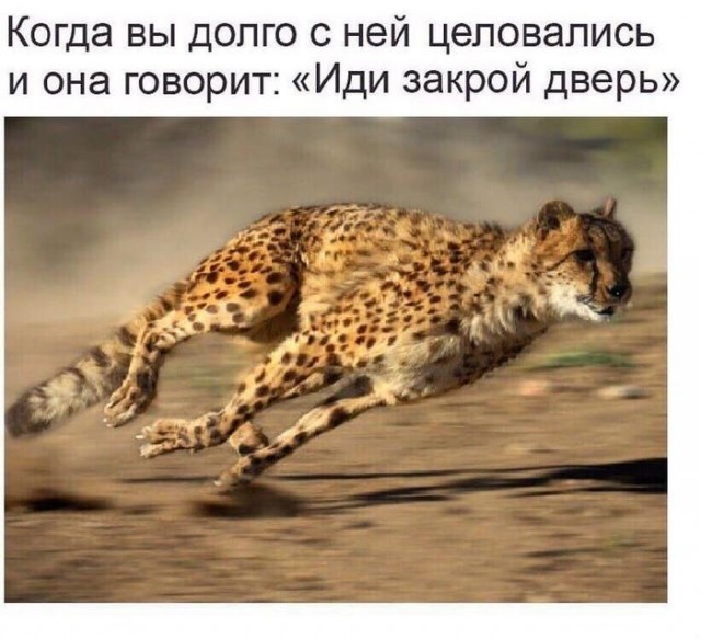 картинка 74885103ce 21003407