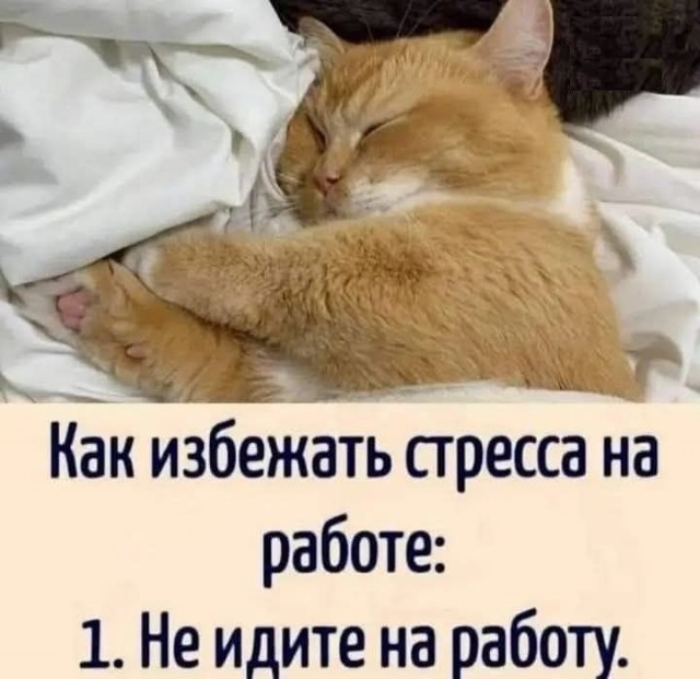 картинка 771fcd9361 21046175