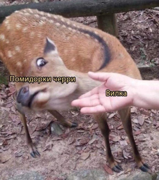 картинка 78435e9bd9 21018865