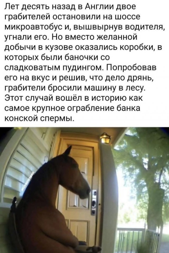 картинка 7a5bf5551b 21017233