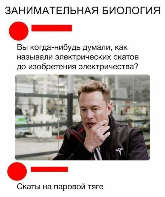 картинка 7bcc01a842 novyj sbornik otbornyh memov porcija pozitiva iz socsetej 15