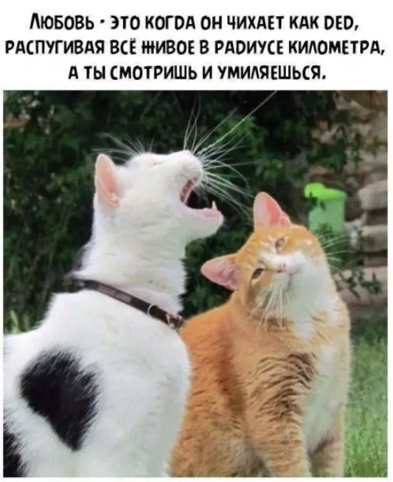 Выходные в мемах и картинках: поднимите себе настроение отборным юмором! картинки, сборник, настроение, самые, которые, Устали, личный, выходныеЭтот, подарить, хотим, моменты, такие, Именно, голос, хохотать, заставляет, ленту, очередной, источник, листаете