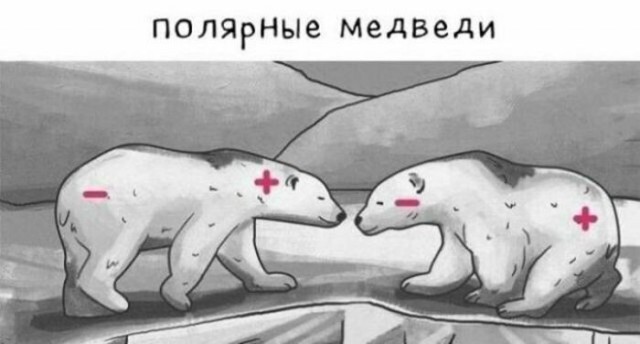 картинка 7c85881e6c 21031163