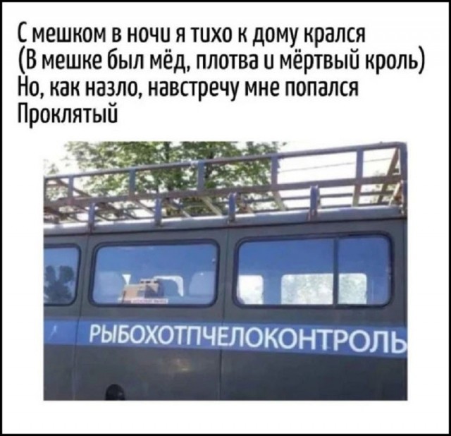картинка 7d3085fd0c 20998915