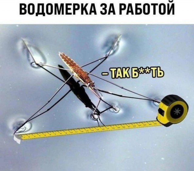 картинка 7d9baf0c9e 21045442