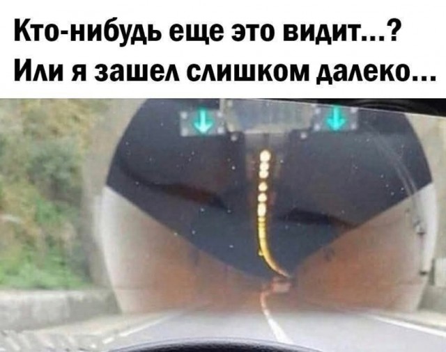 картинка 7e084545f0 20999330