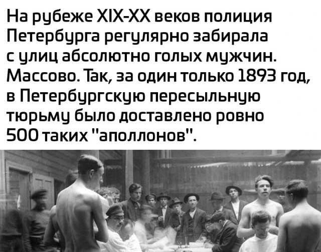 картинка 7e17c8d411 20998882