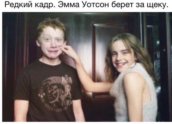 картинка 7e4ed2dff8 otbornyj jumor memy i kartinki kotorye zastavjat vas smejatsja 13