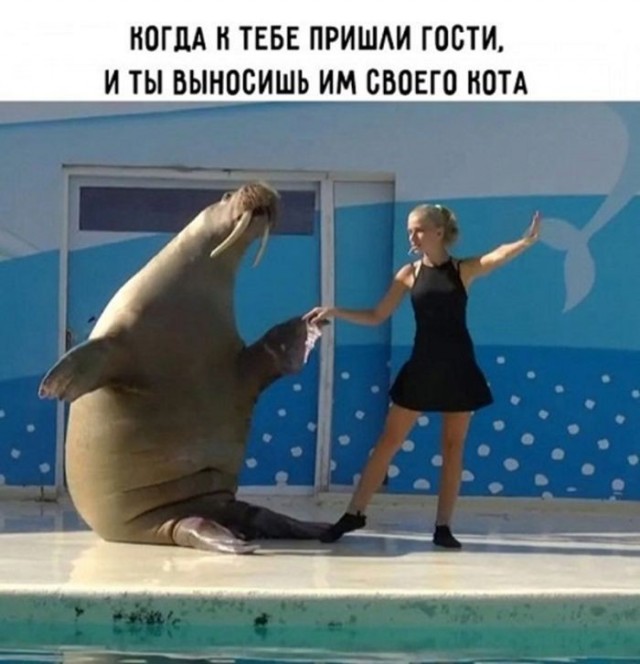 картинка 7f7383f985 21031197