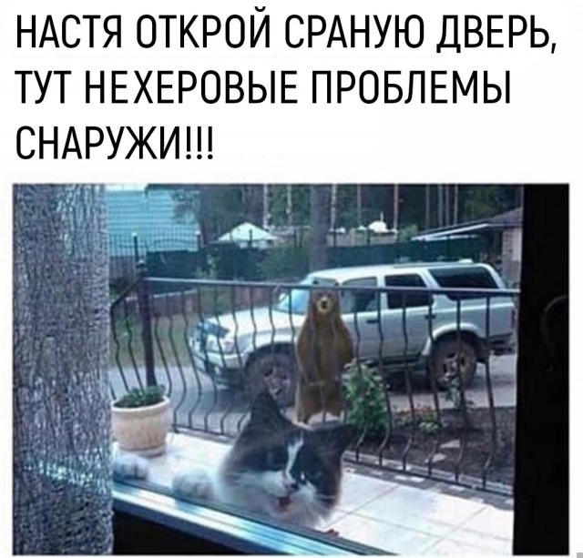 картинка 82f957cf6a ostorozhno kontent mozhet vyzvat nekontroliruemyj smeh i legkoe chuvstvo viny 21
