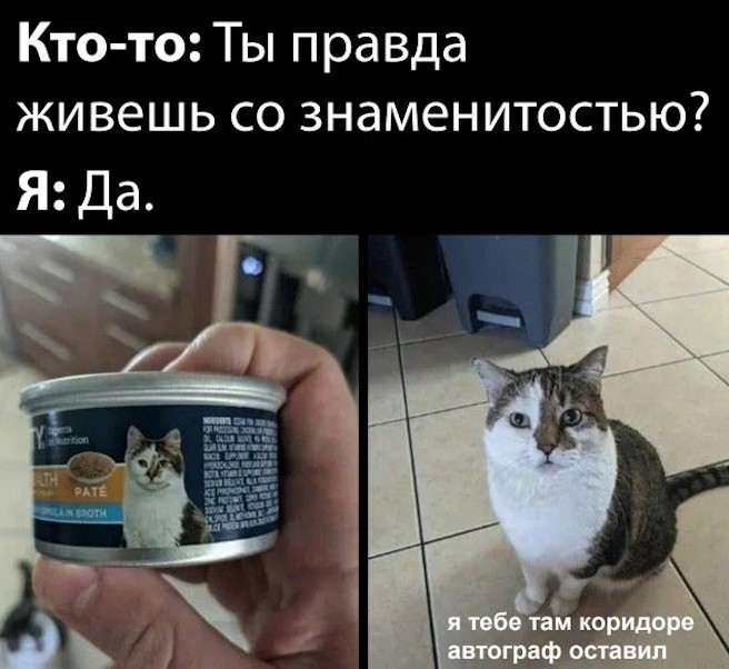 картинка 8473ddf8f0 novyj sbornik memov zarjad pozitiva na ves den 8