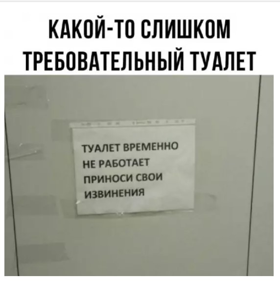 картинка 84e355bce4 21031862