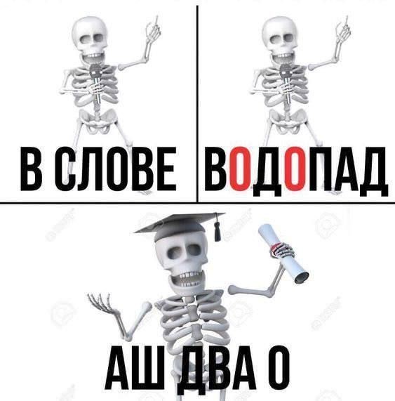 картинка 8608ed25db 21057427