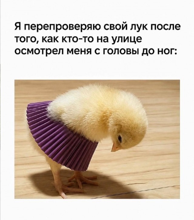 картинка 8829bb3bc1 21054077