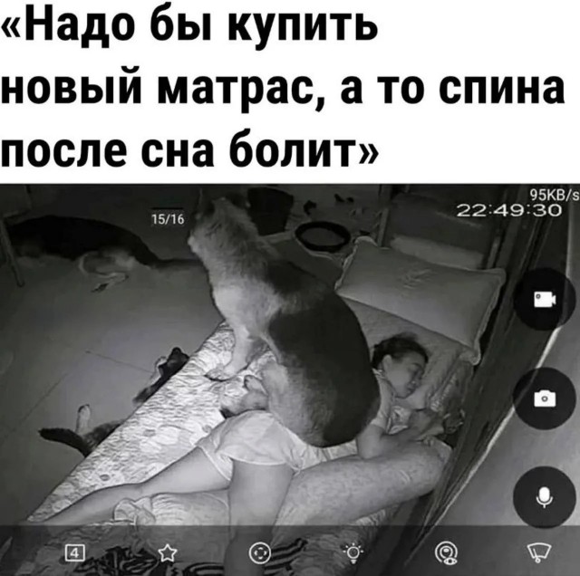 картинка 89cfd62fa1 21046439