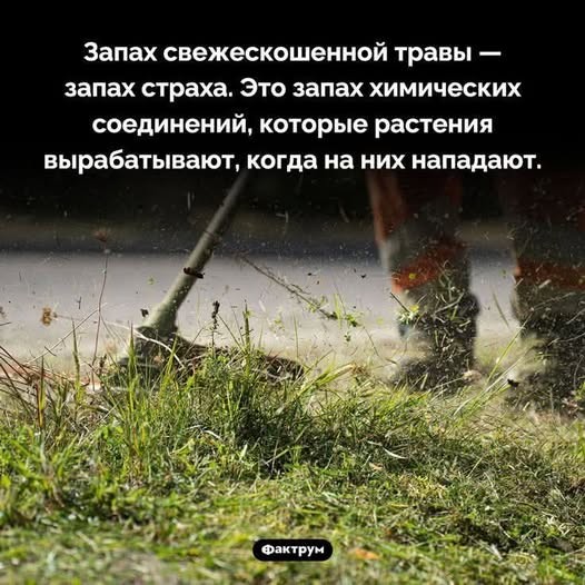Забудьте о скуке! Новый сборник отборных мемов и картинок с надписями уже здесь, чтобы поднять вам настроение до небес! просто, которые, позитива, сборник, Устали, улучшает, получить, способ, идеальный, жизнь, делает, самочувствие, снимает, стресс, время, лекарство, лучшее, посмотретьПотому, стоит, Почему