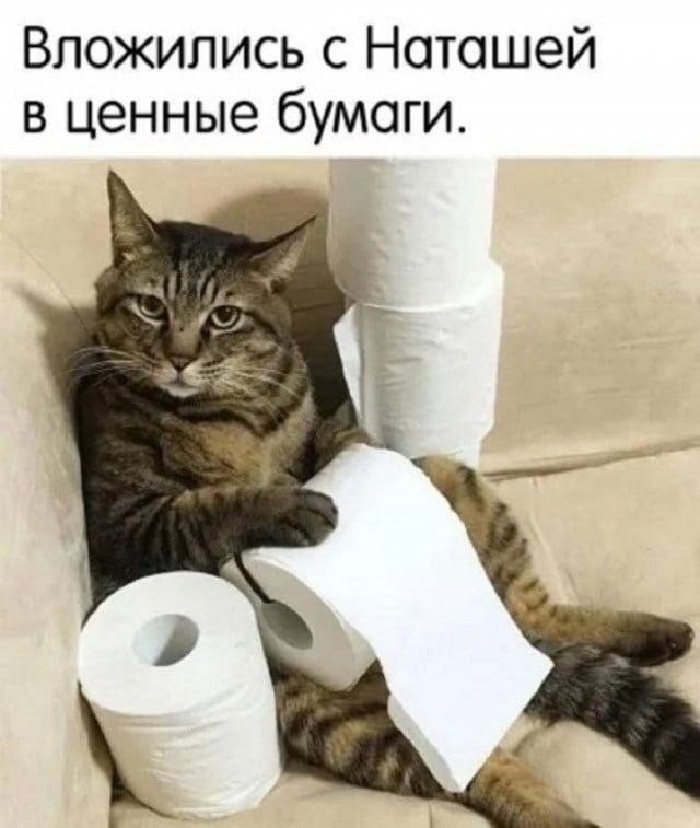 картинка 8b11827586 21019433