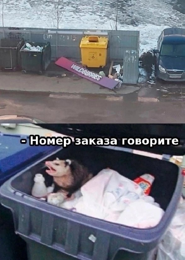 картинка 8b307cecba 21013618