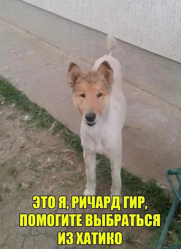 картинка 8e156b6a81 000000000000000000