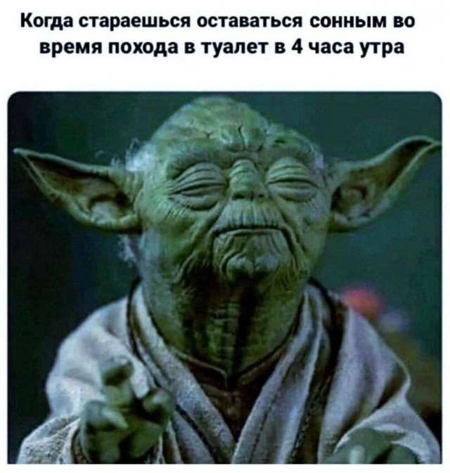 картинка 8e78265d30 21032401