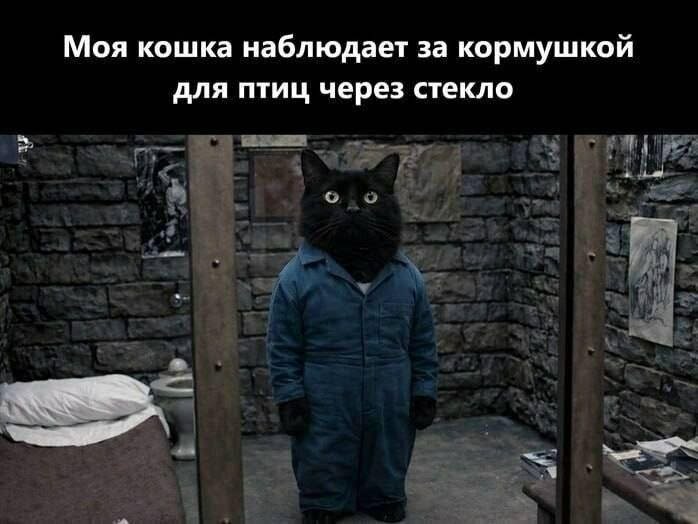картинка 8e83ae6fc9 vnimanie ostorozhno vyzyvaet nekontroliruemyj smeh 9