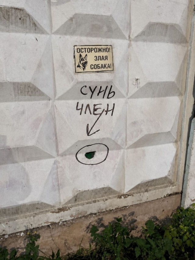 картинка 8eea6d9872 21003623