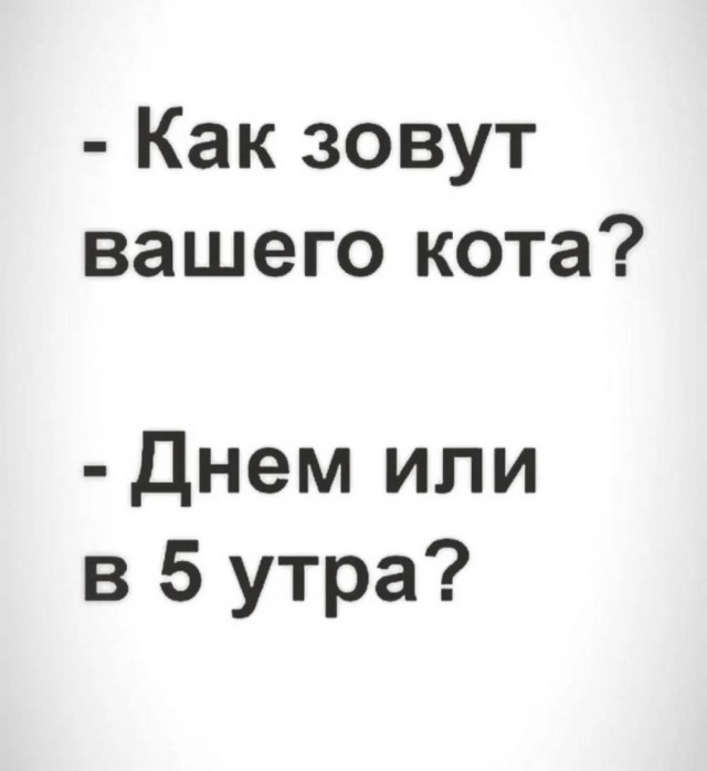 картинка 905cf86bfe 21031328