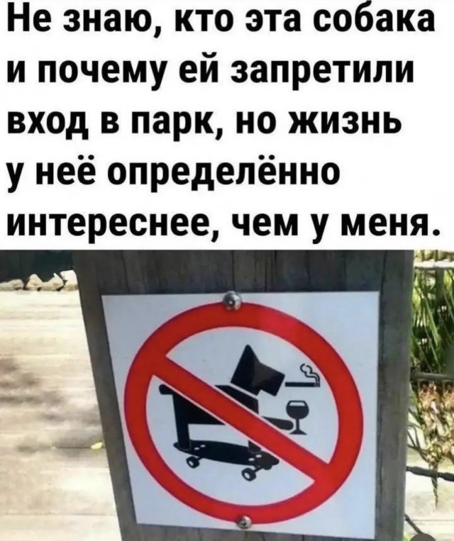 картинка 92099f7248 21033193