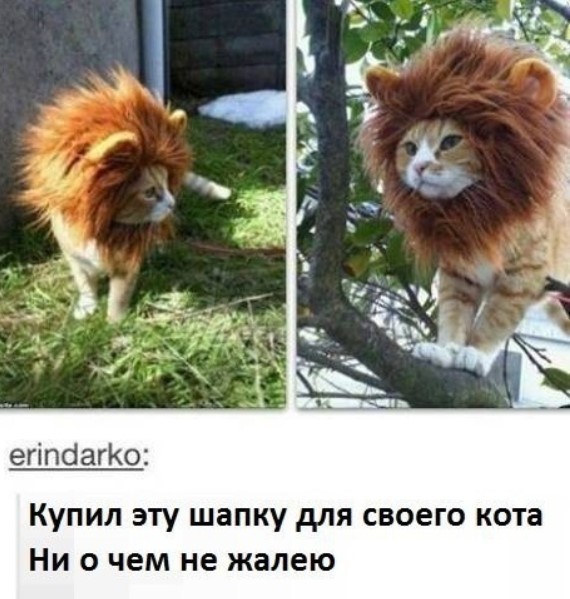 картинка 93ac16d624 21031852
