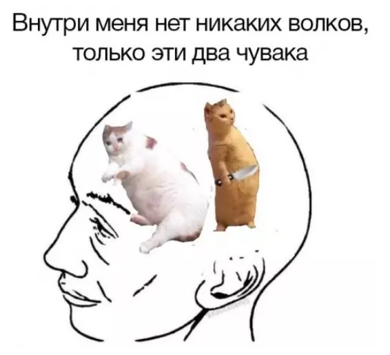 картинка 984310dbab 21046140