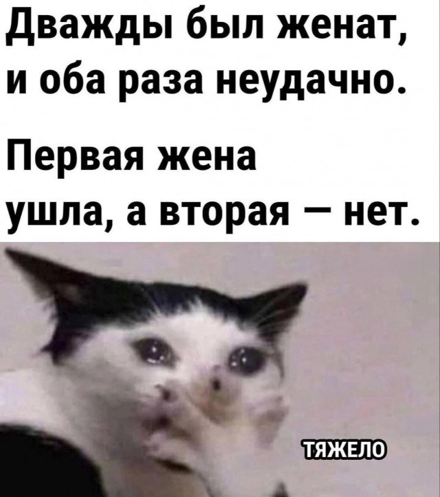 картинка 99a38f07fc 21033195