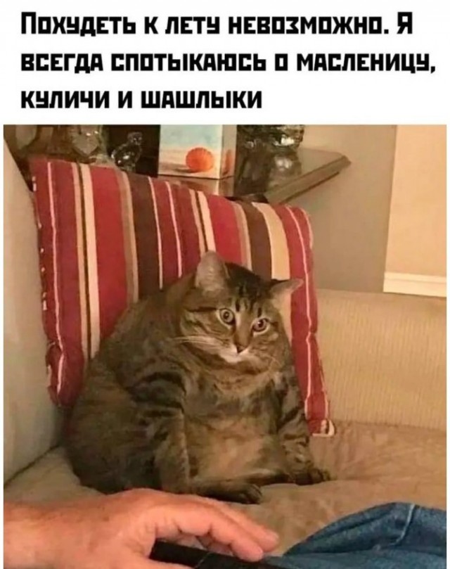 картинка 9b09c03ec0 21018836