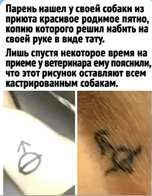 картинка 9cc50f8a5e 21001947