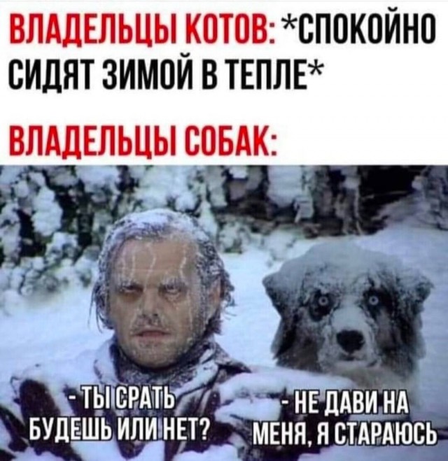картинка 9cfa06a8c9 21002315