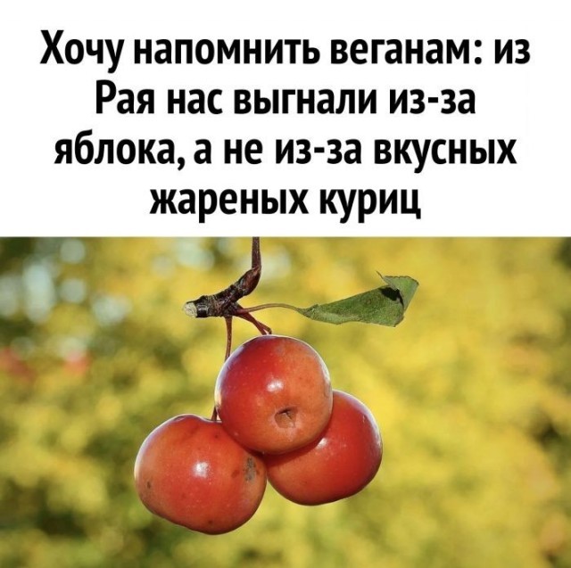 картинка 9d088708cd gotovy k porcii pozitiva lovite zarjad horoshego nastroenija 1