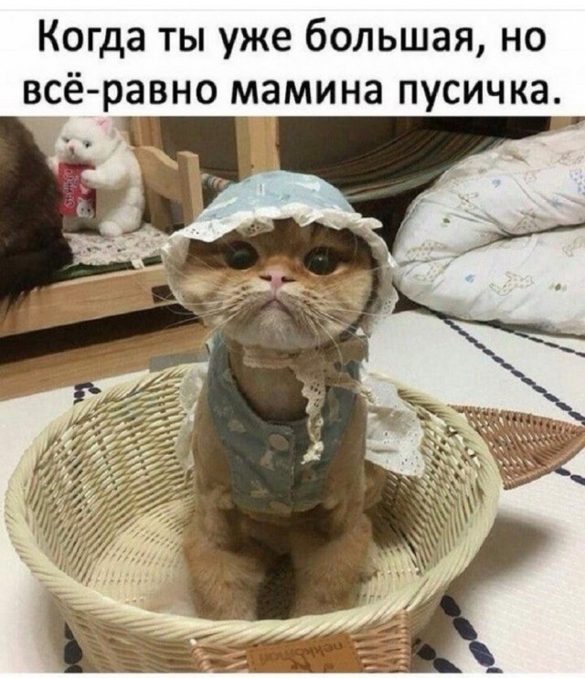 картинка 9dd357663a 21003668