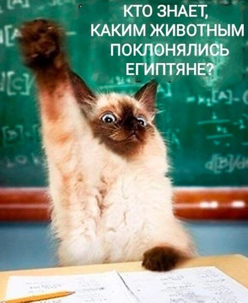 картинка 9e0001c8b0 21001809