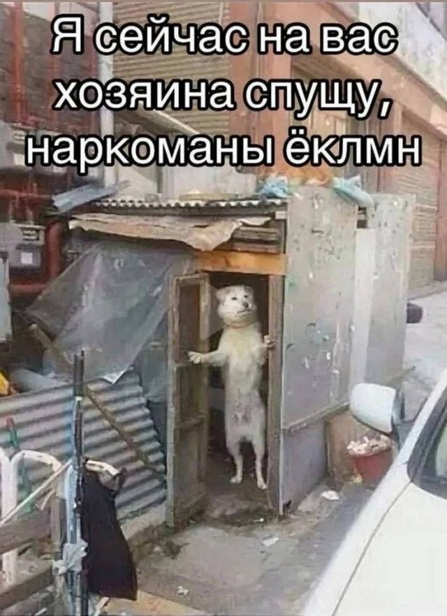 картинка 9f296506df 21019046